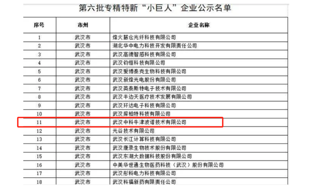 喜报！武汉中科牛津波谱技术有限公司成功入选国家级专精特新“小巨人”企业名单